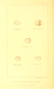 n109_w1150