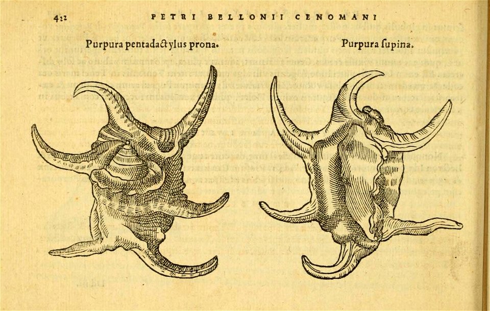 n461_w1150