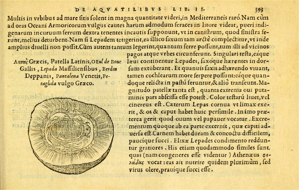 n432_w1150