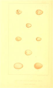 n93_w1150