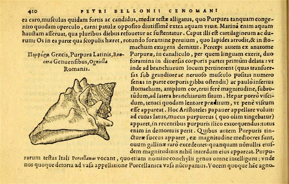 n459_w1150
