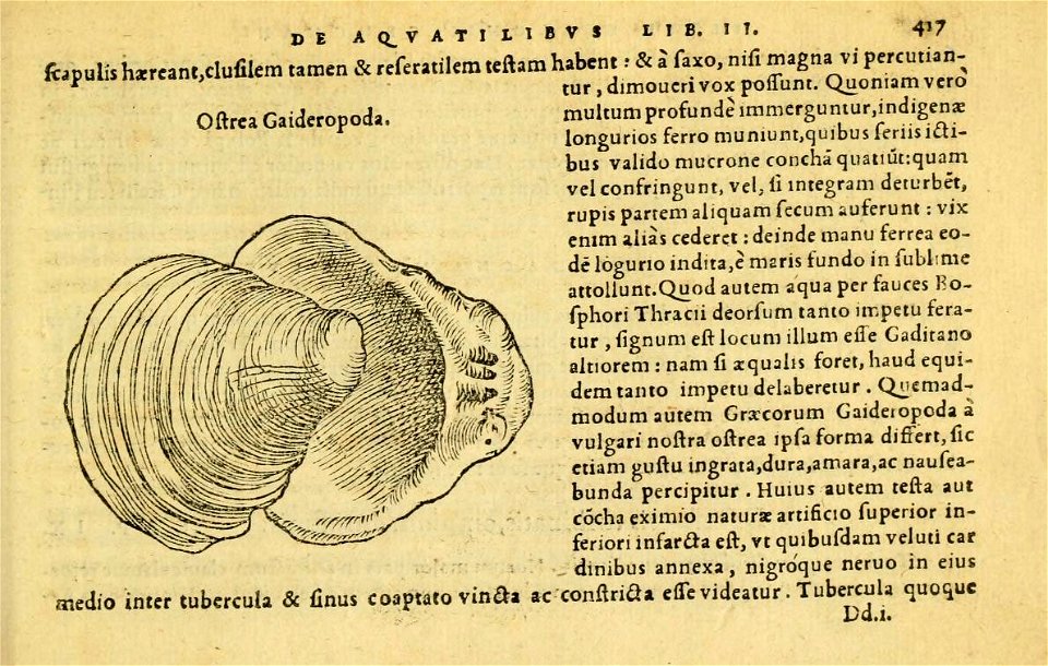n456_w1150