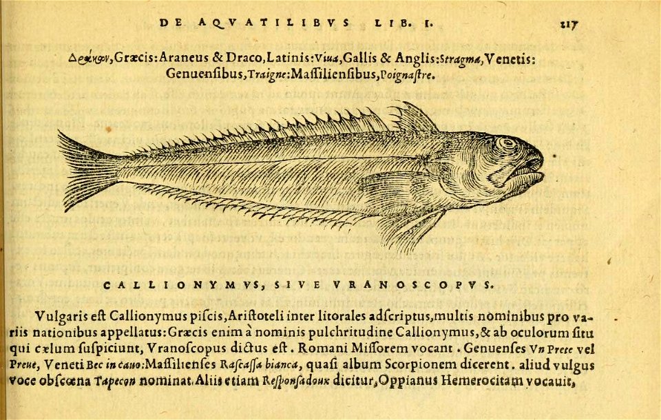 n256_w1150