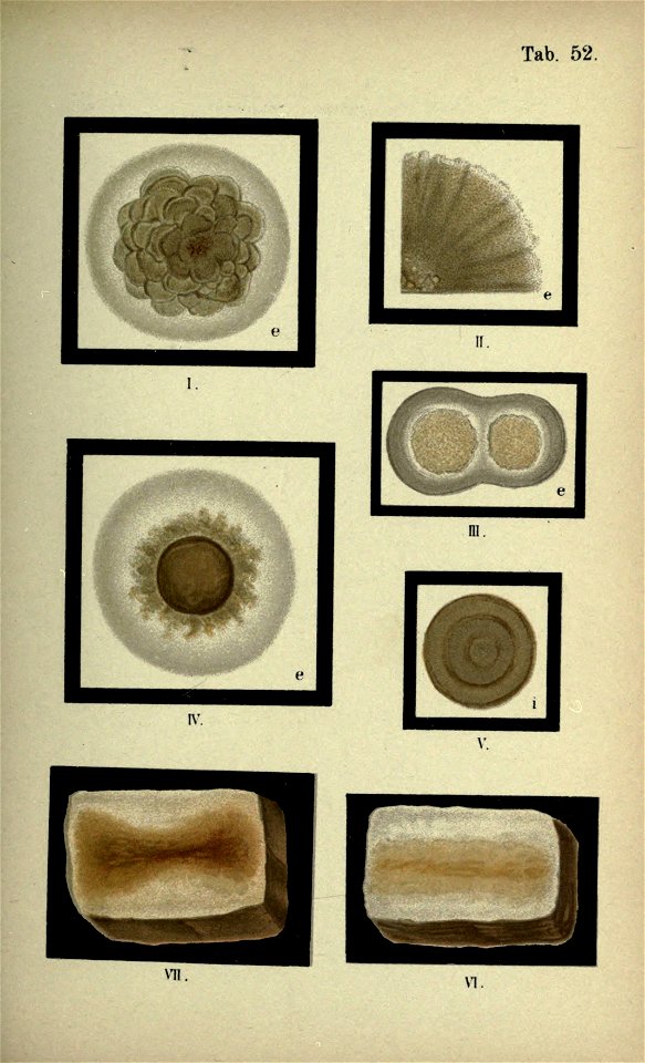 n168_w1150