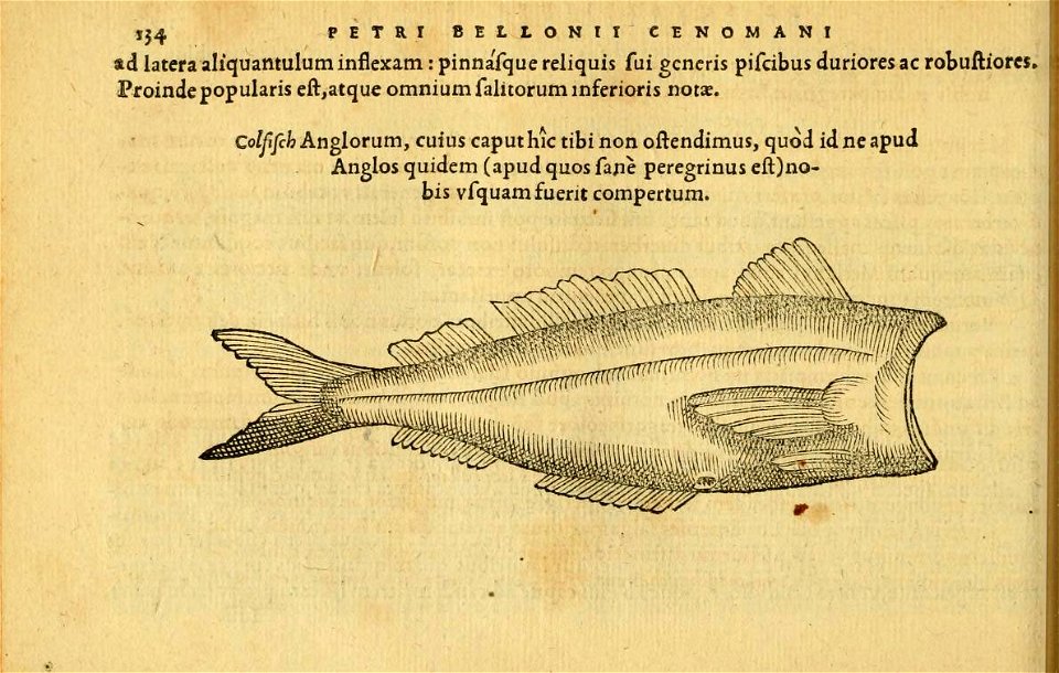 n173_w1150