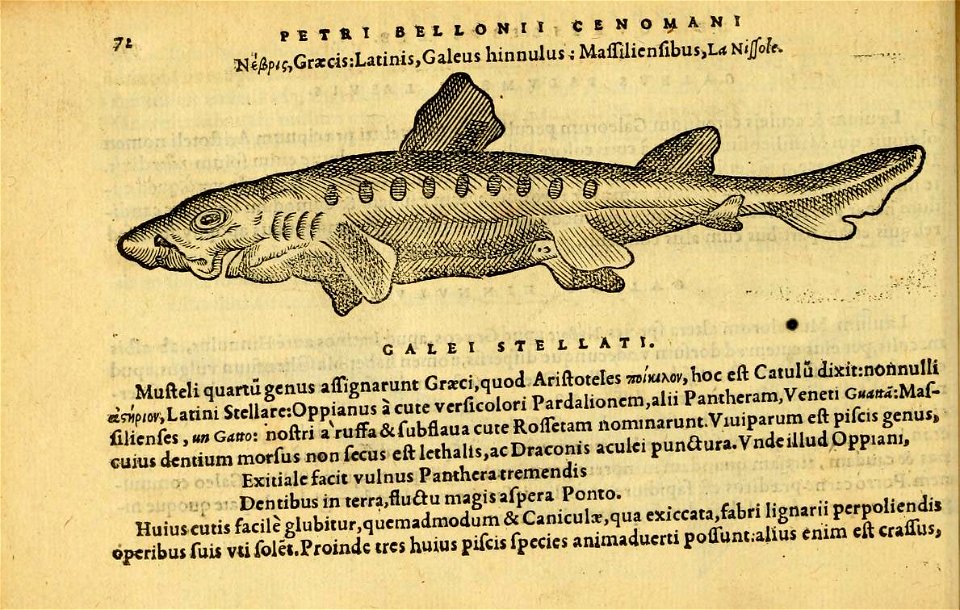 n111_w1150