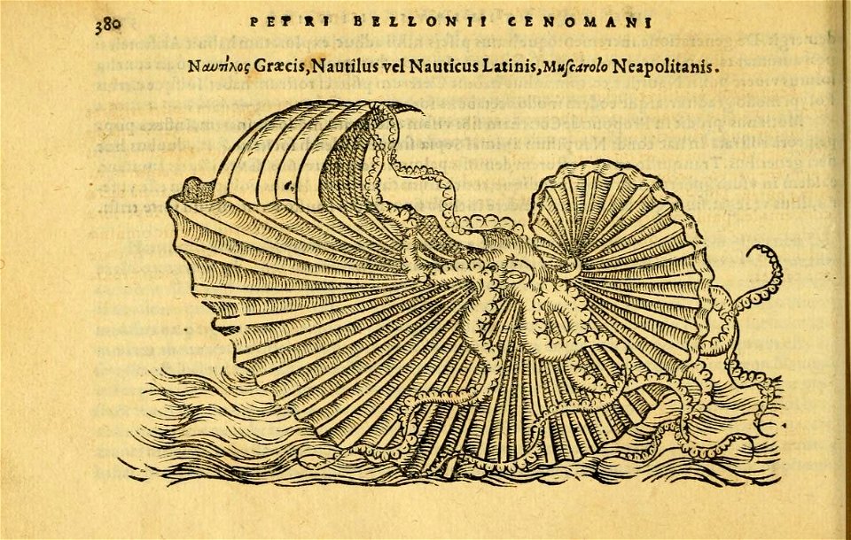 n419_w1150