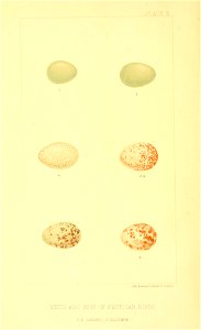 n37_w1150