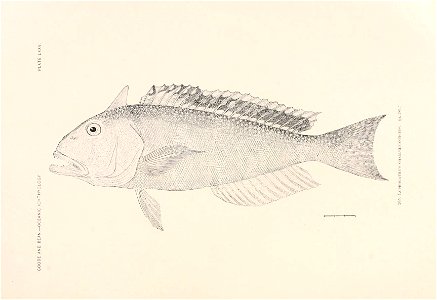 n208_w1150