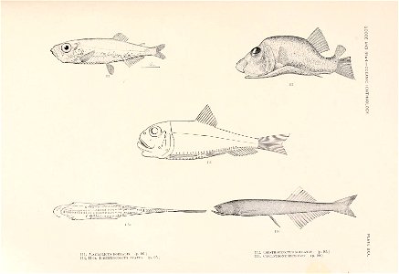 n118_w1150