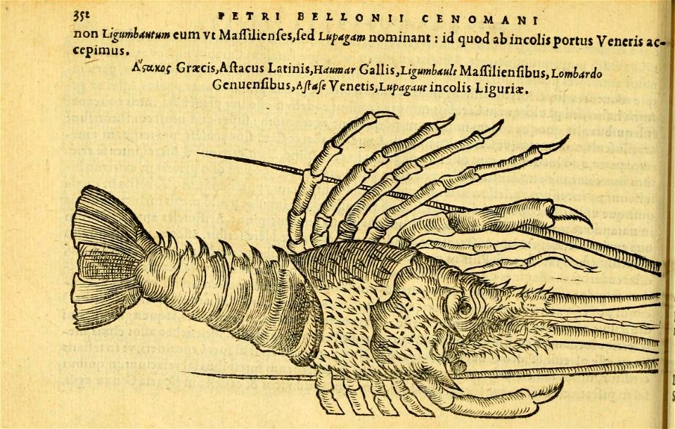 n391_w1150