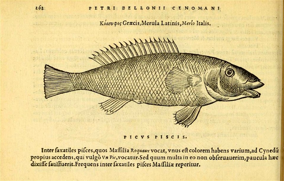 n301_w1150