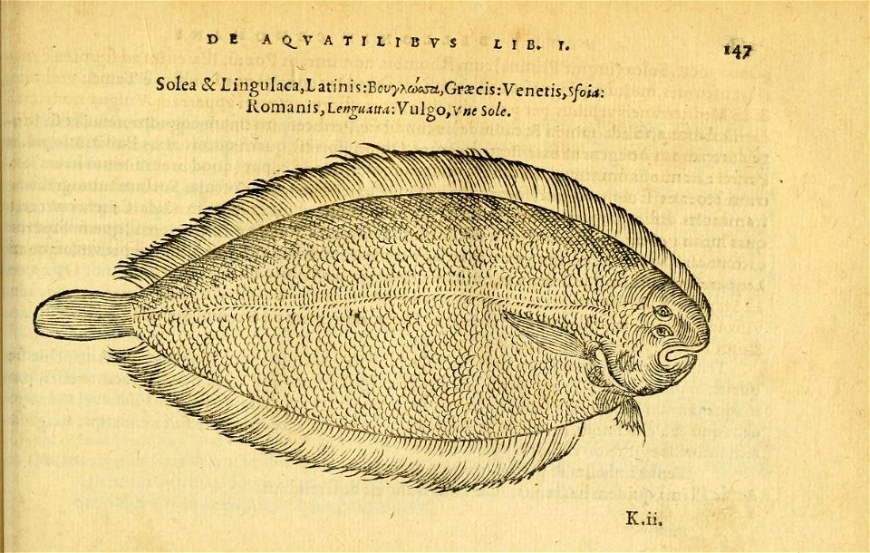 n186_w1150
