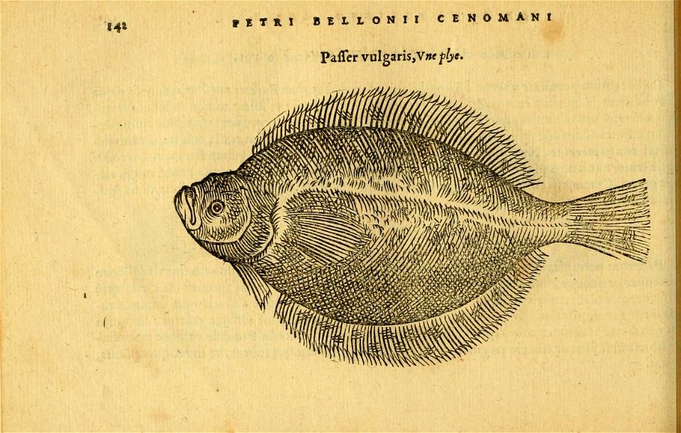 n181_w1150
