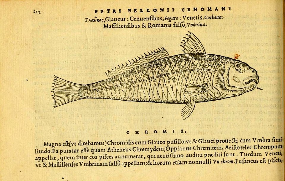 n151_w1150
