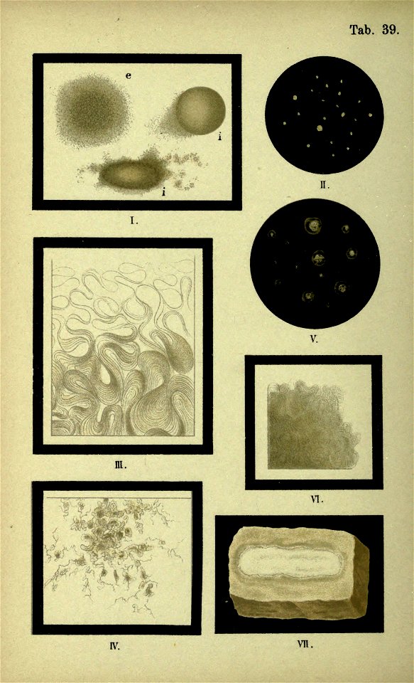 n129_w1150