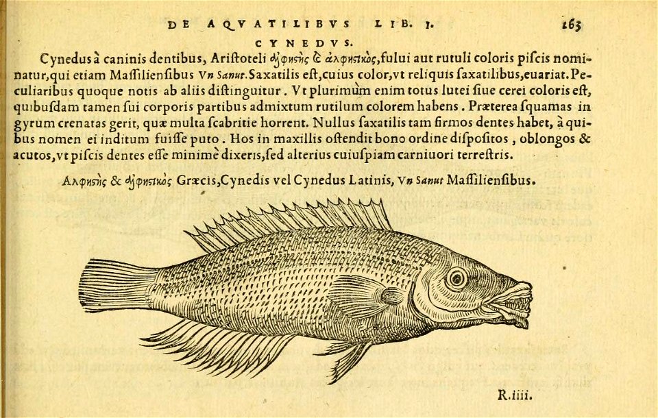 n302_w1150