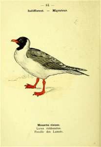 n137_w1150