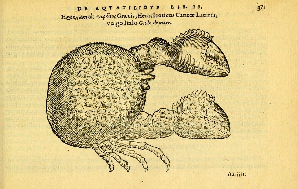 n414_w1150