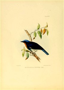 n169_w1150