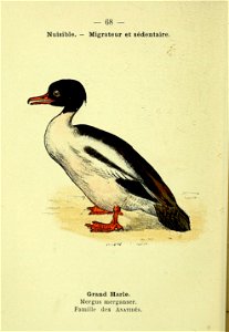 n145_w1150