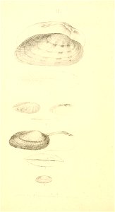 n277_w1150