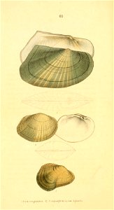 n223_w1150