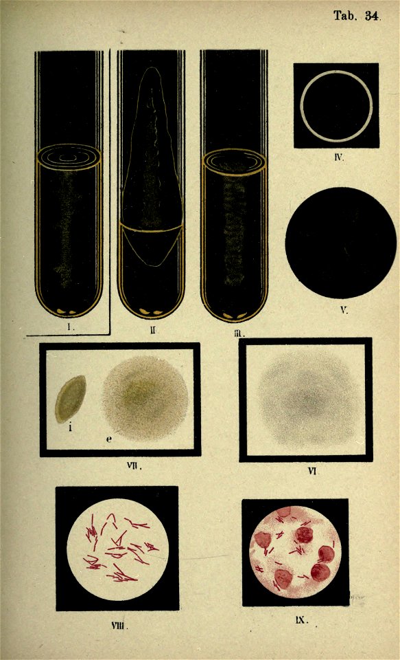 n114_w1150