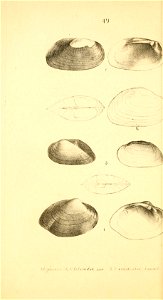 n289_w1150