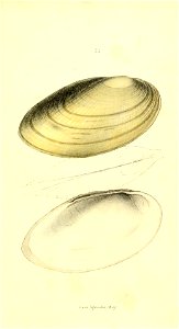 n184_w1150