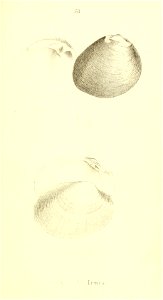 n344_w1150