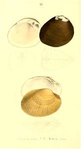 n341_w1150