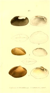 n283_w1150