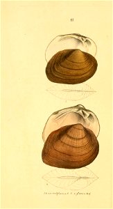 n233_w1150