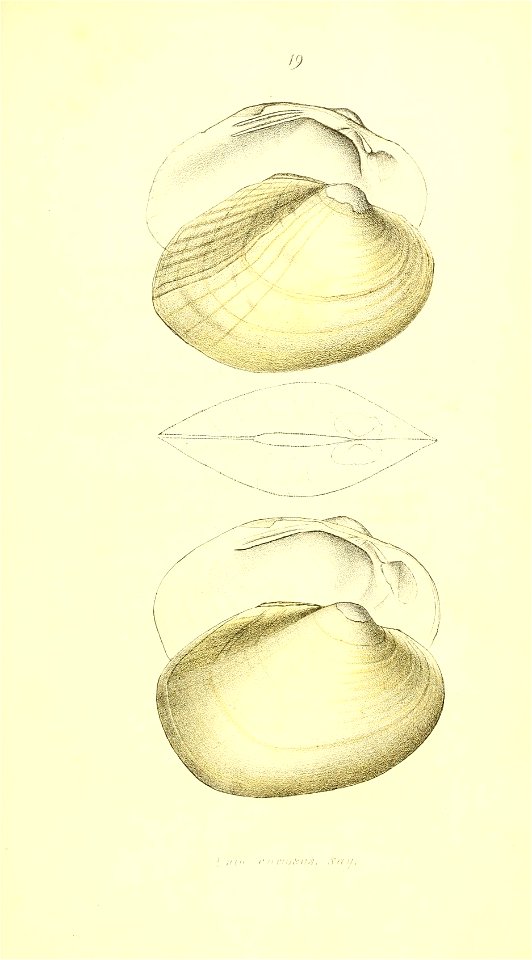 n120_w1150
