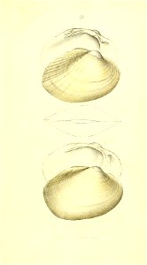 n120_w1150