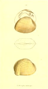 n280_w1150