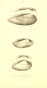 n117_w1150