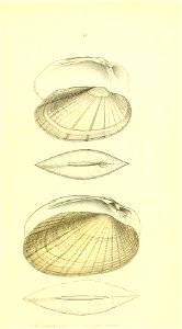 n62_w1150