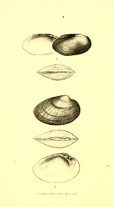 n59_w1150