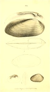 n165_w1150