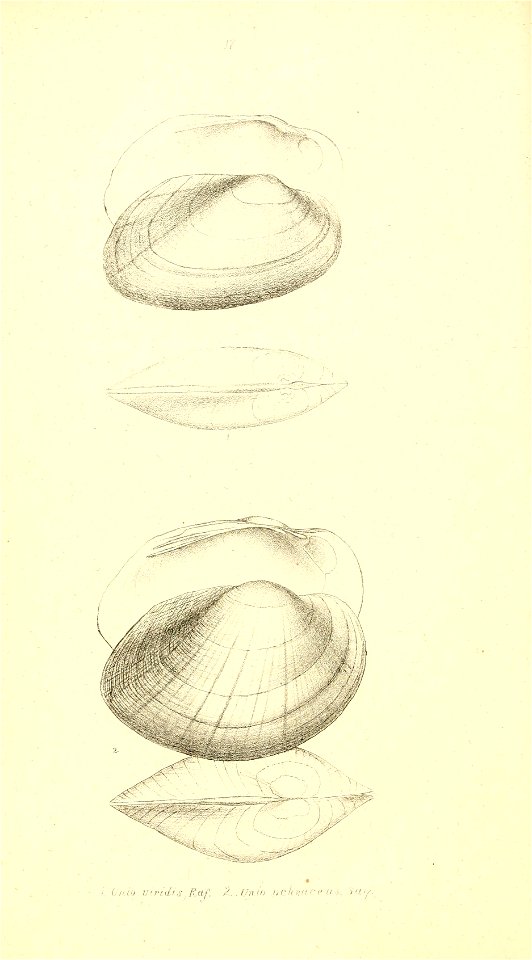n111_w1150