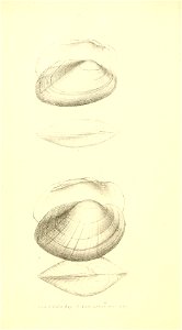 n111_w1150