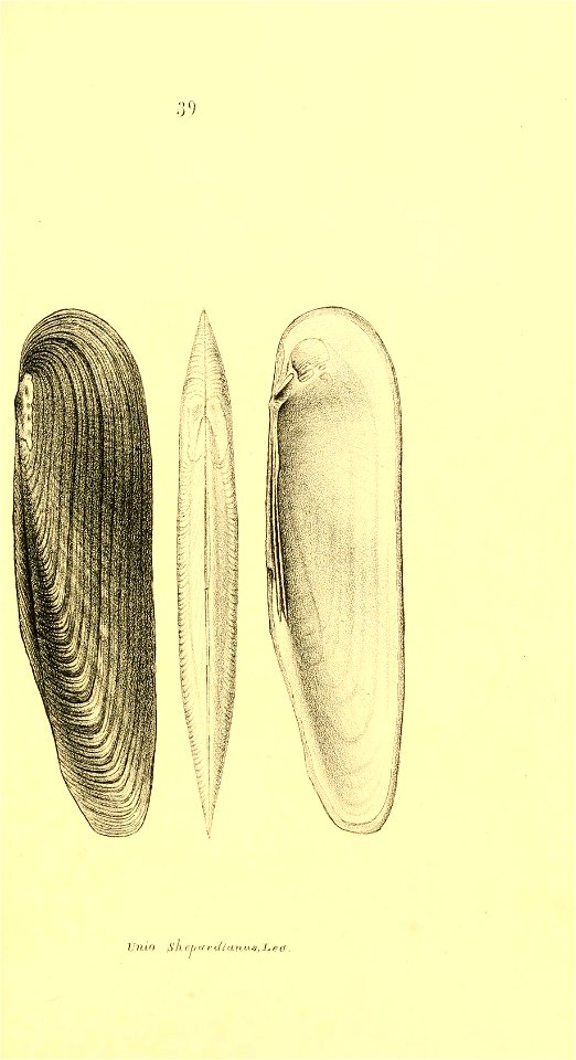 n220_w1150