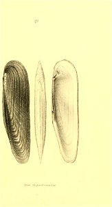 n220_w1150