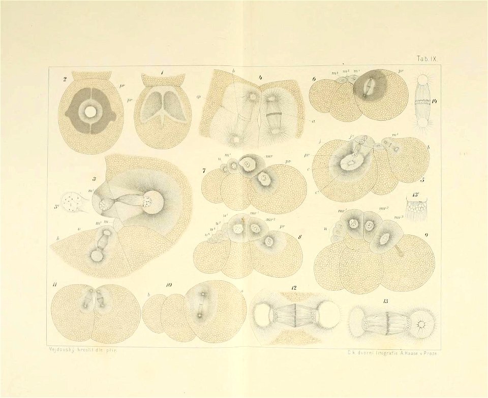n66_w1150