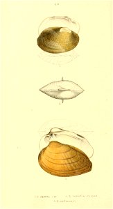 n351_w1150