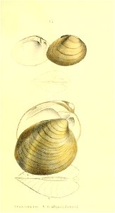 n242_w1150