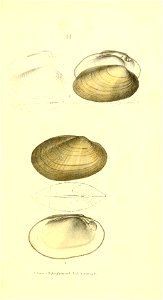n188_w1150