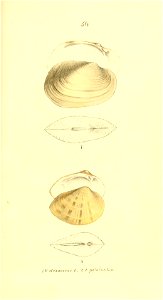 n292_w1150